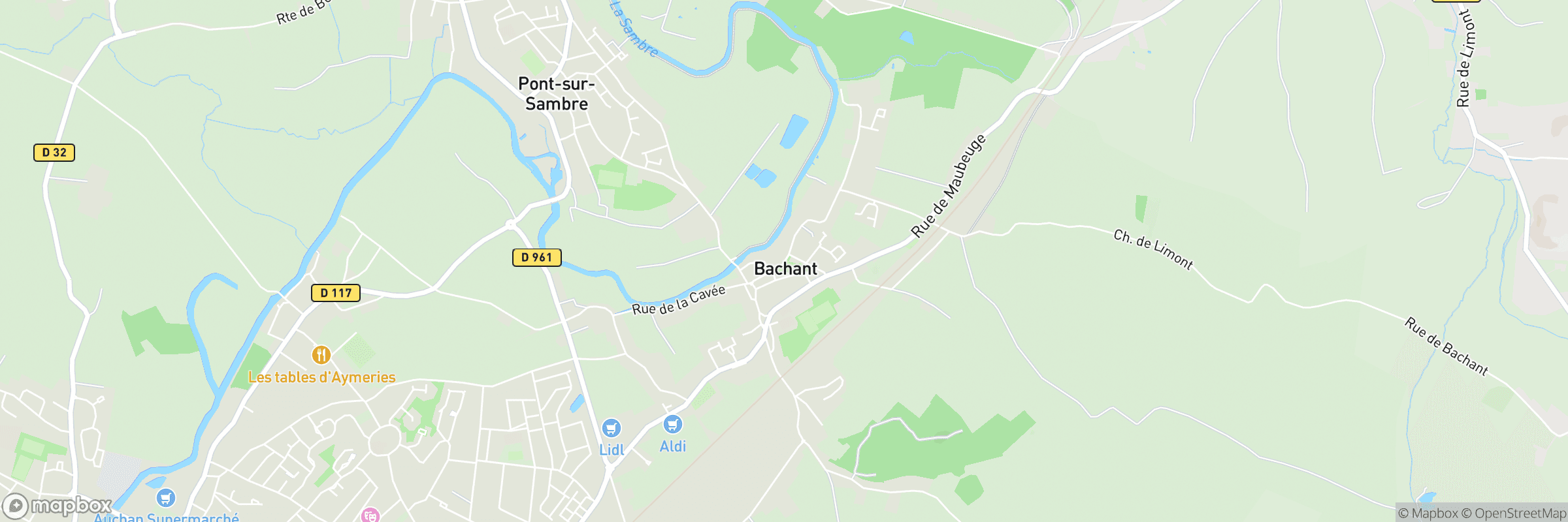Bachant