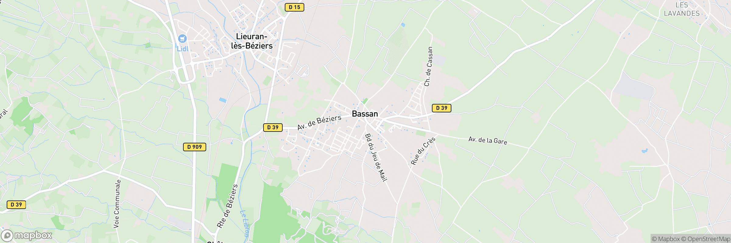 Bassan