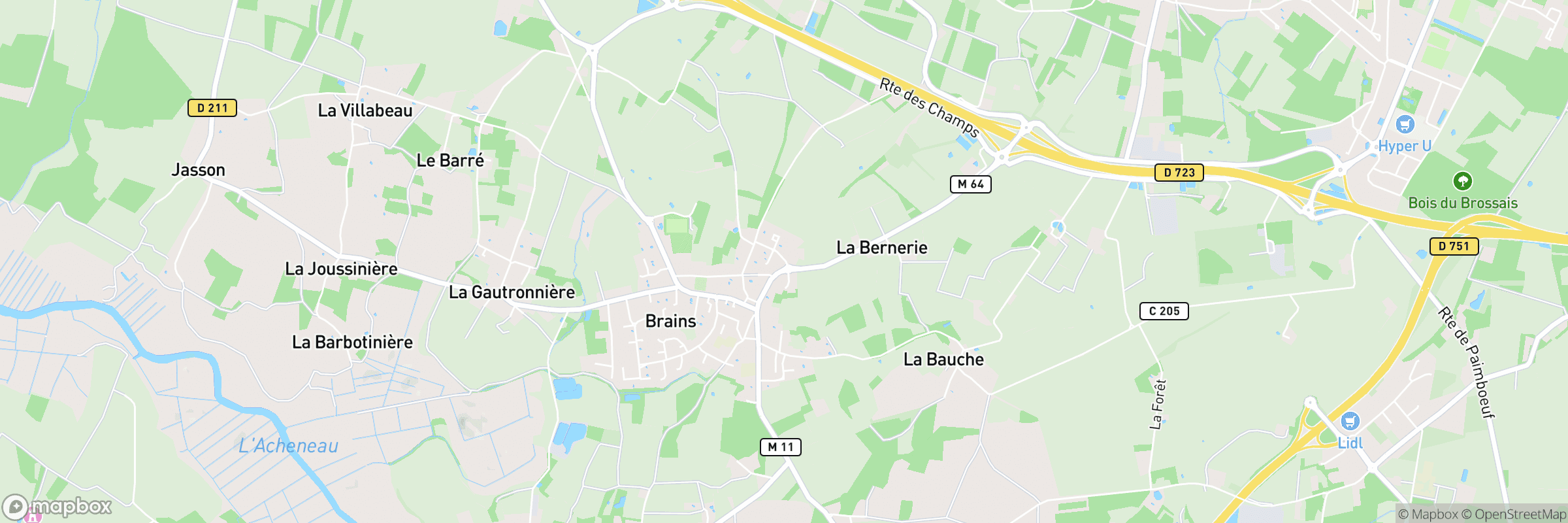 Brains