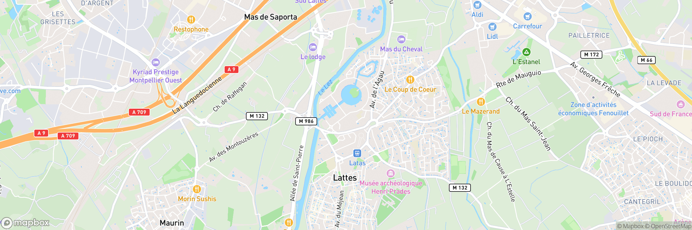 Lattes