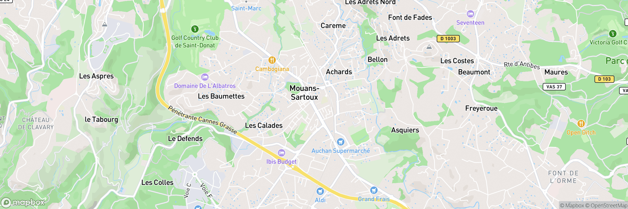 Mouans Sartoux