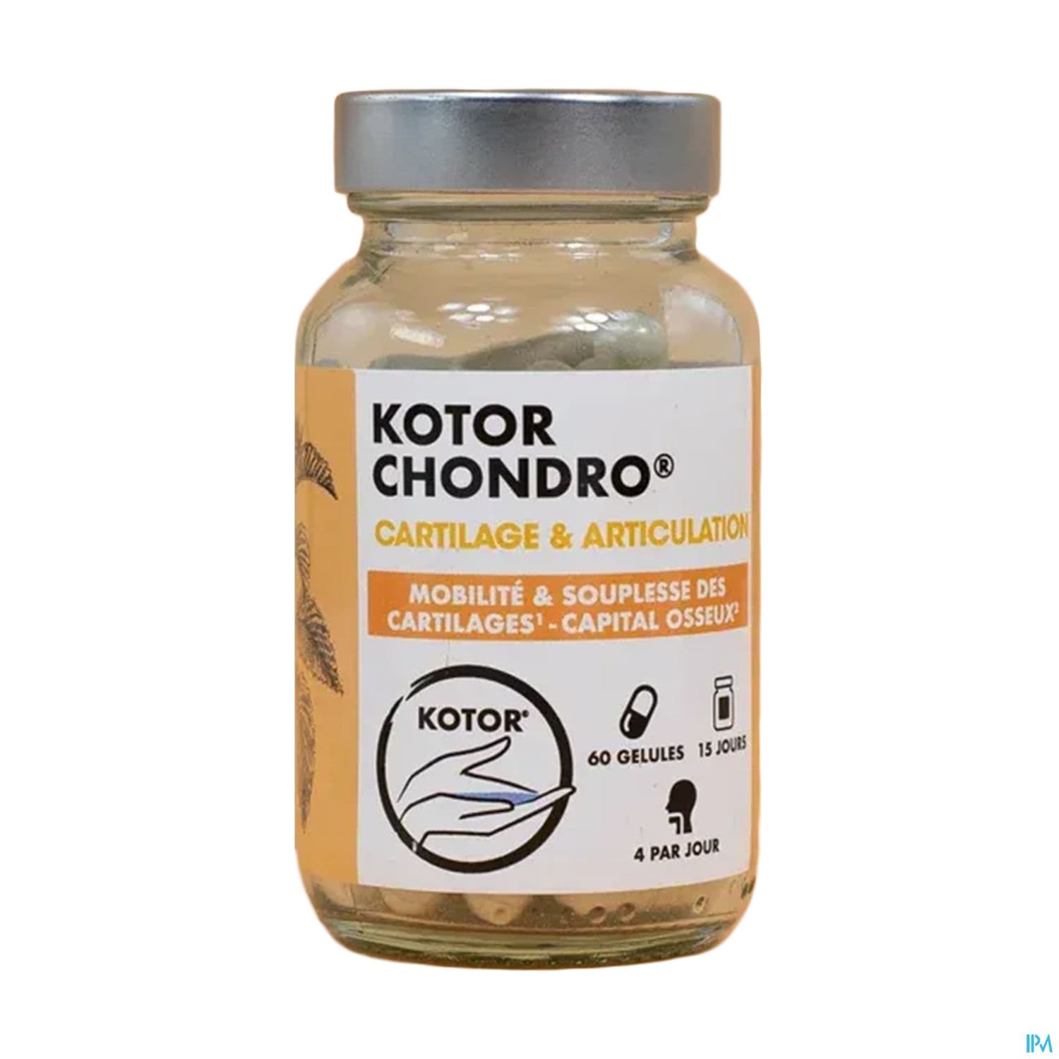 Kotor Chondro Gelule 60