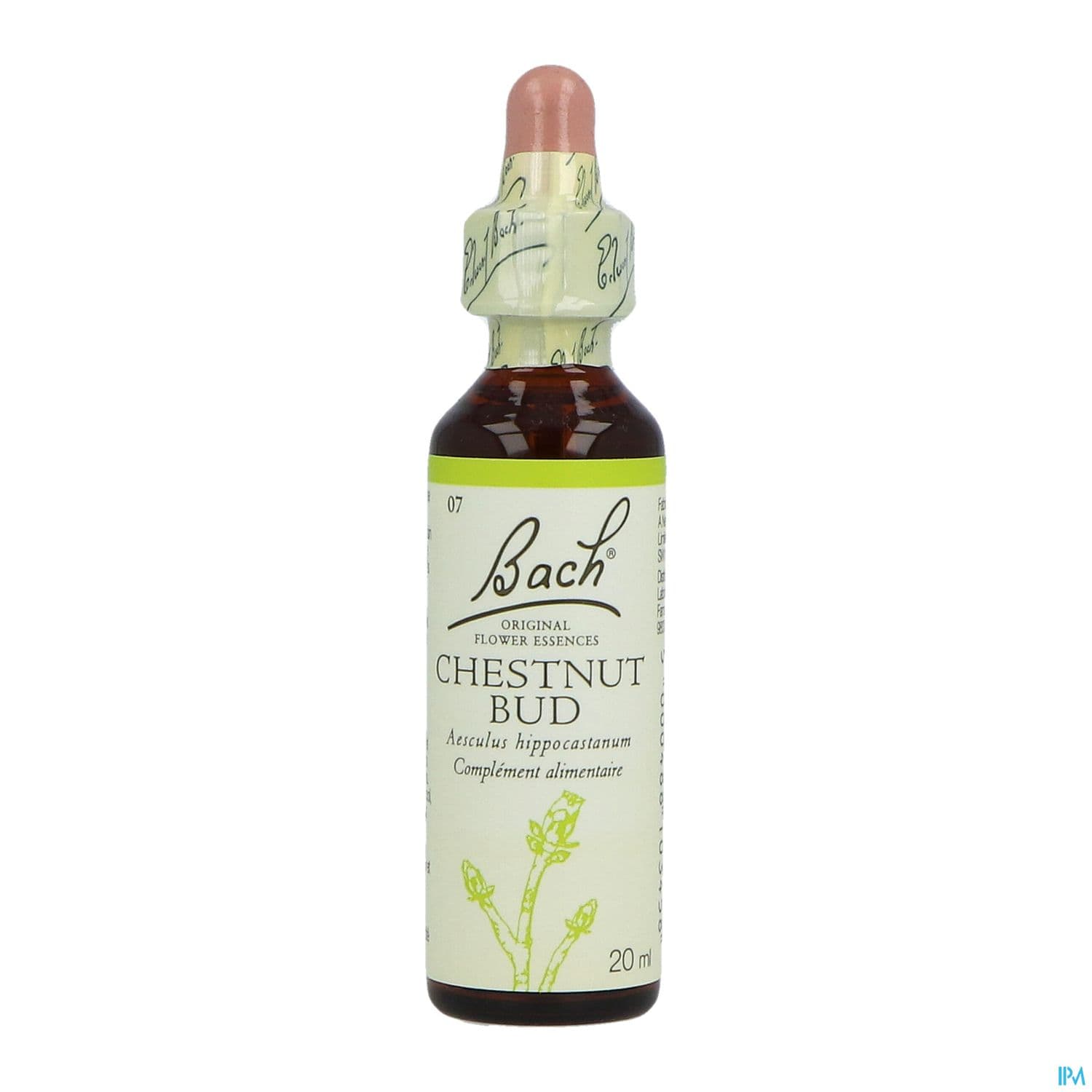 FL BACH ORIGINAL CHESNUT BUD 20ML