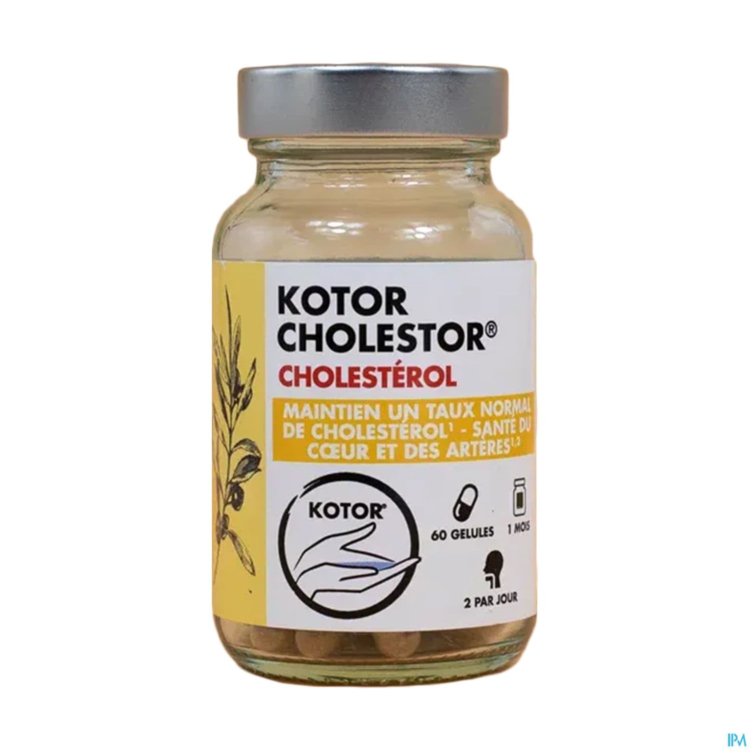 Kotor Cholestor Gelule 60