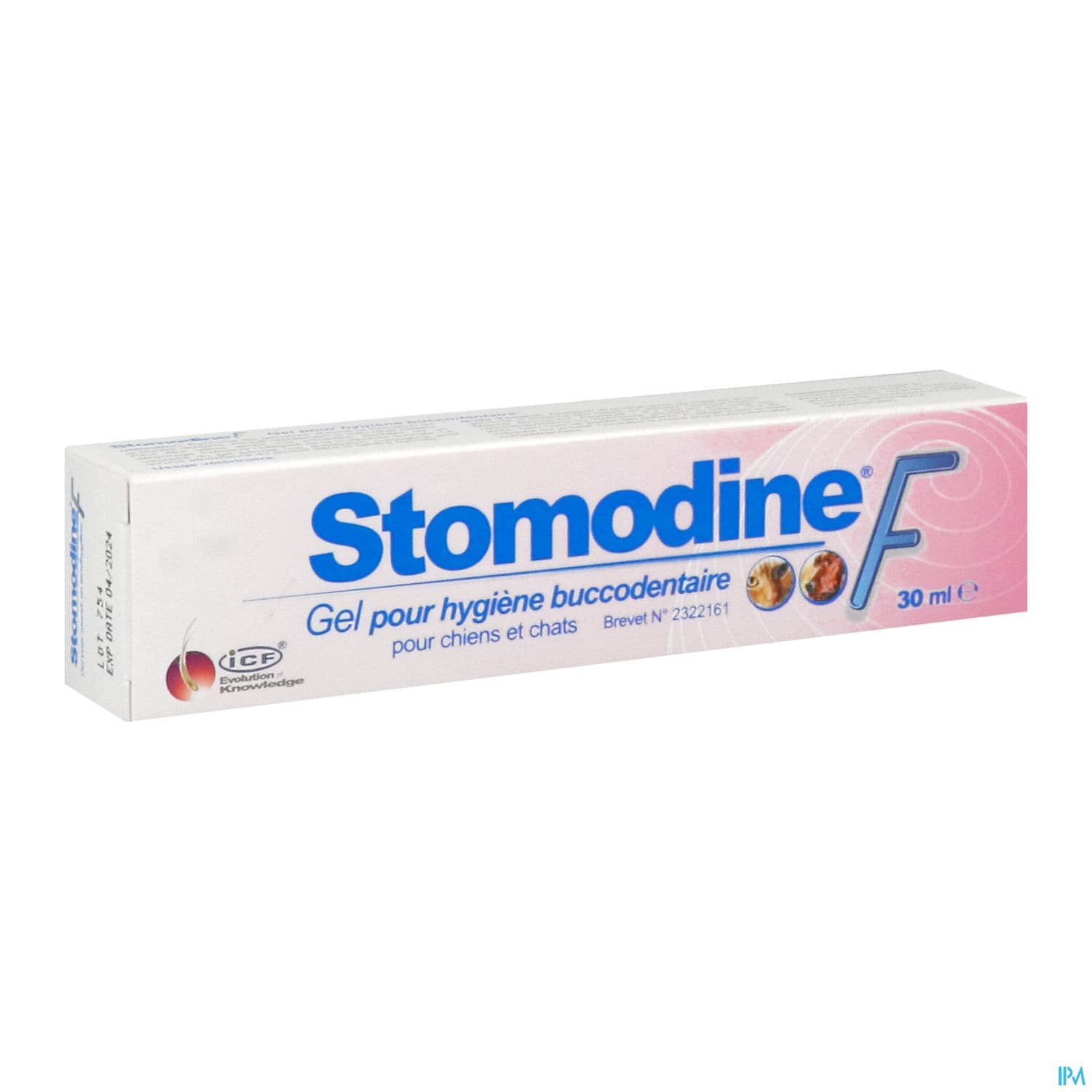 Mp Labo Stomodine F Gel Buccodentaire 30ml