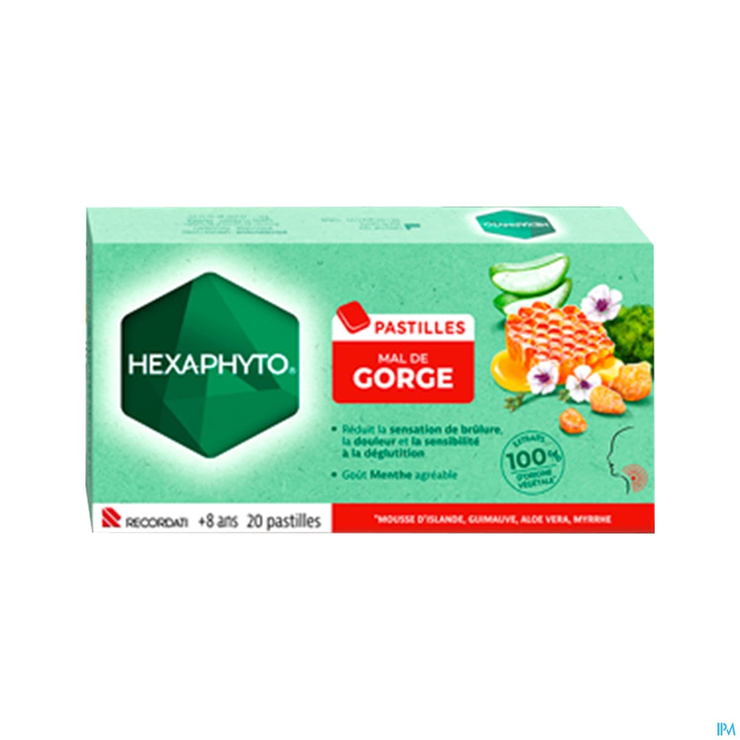 HEXAPHYTO PAST GORG MENTH 20