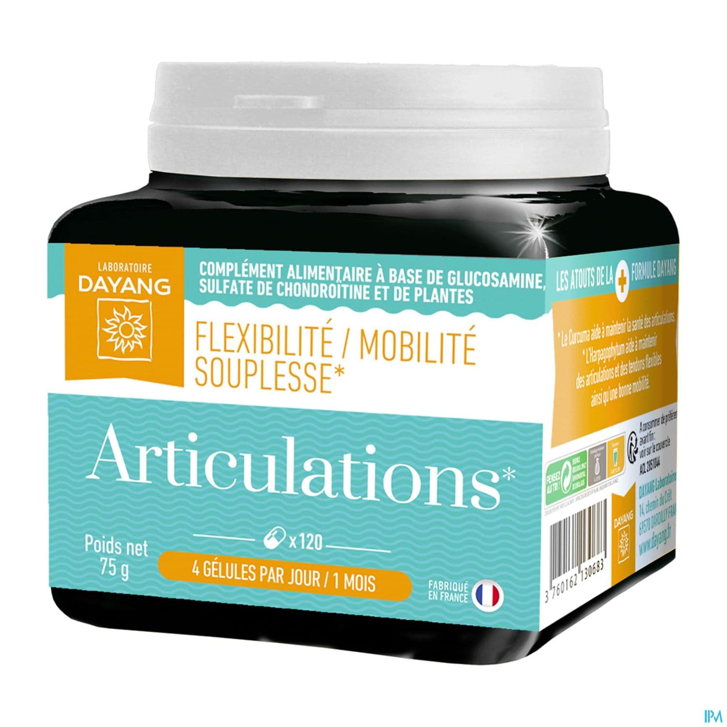 DAYANG ARTICULATION GELUL 120