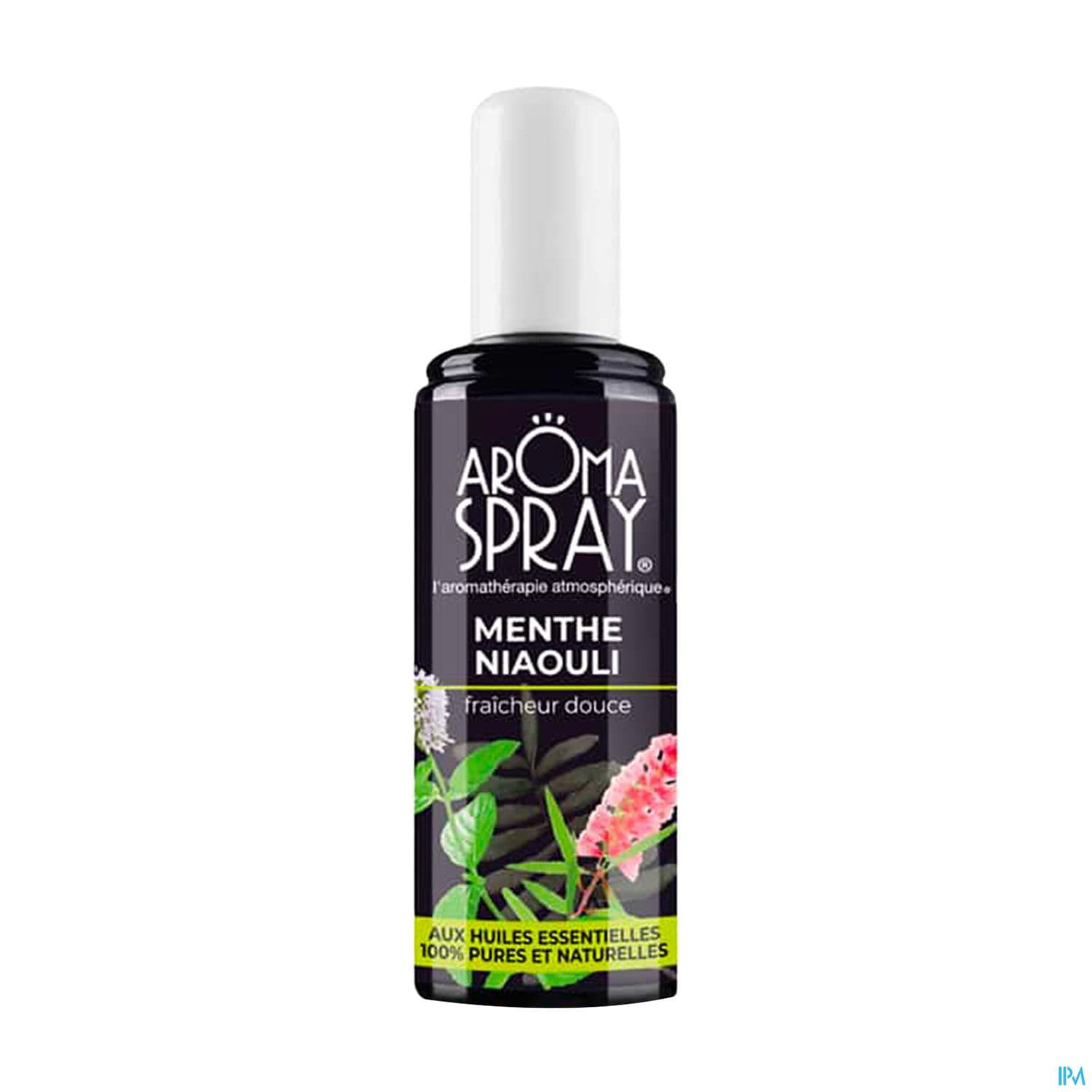 531 Aromaspray Menthe Niaouli Spray 100ml