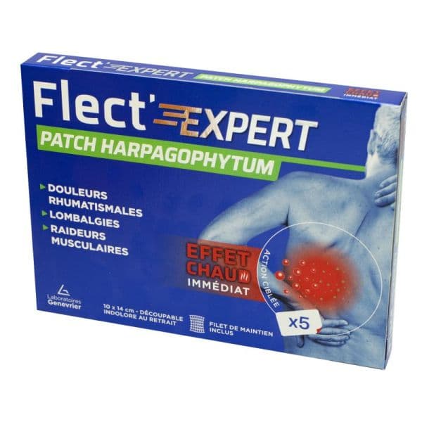 FLECT'EXPERT PATCH HARPAGO BT 5 — Pharmacie Comedie