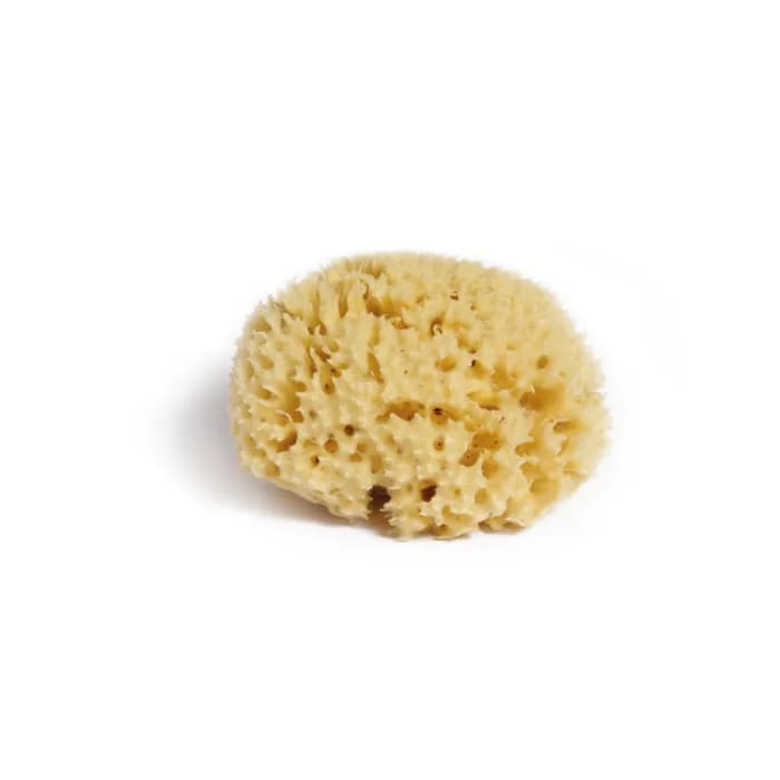 ALTESS EPONG MER 40804