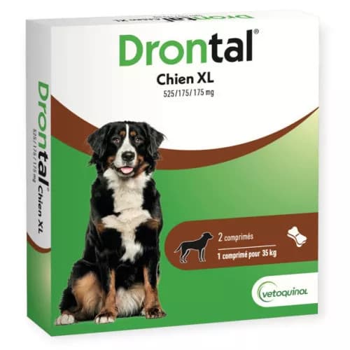 Drontal Grand Chien Comprime 2 — Pharmacie Monge