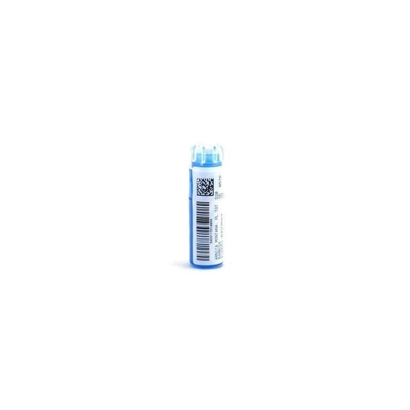 Weleda C205 Allium Cepa D... Granules 4g — Pharmacie Pharmavance Escudier