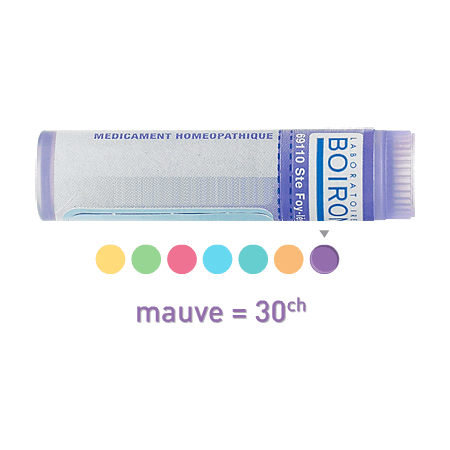Boiron Carbo Veget. 30ch Globules 1g — Pharmacie Bellevue Aix-en-Provence