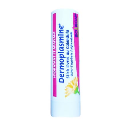 DERMOPLASMINE STICK LEV CALEND 4G