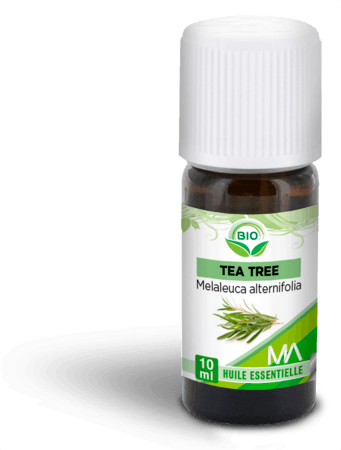 MA TEA TREE BIO HE 10ML — Pharmacie des Mèches