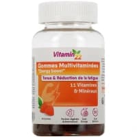 Ineldea Vitamin 22 Gommes Multivitaminees 60