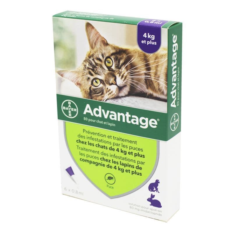 ADVANTAGE-80 CHAT/LAPIN PIPET 6 — Pharmacie Villenave Rocade