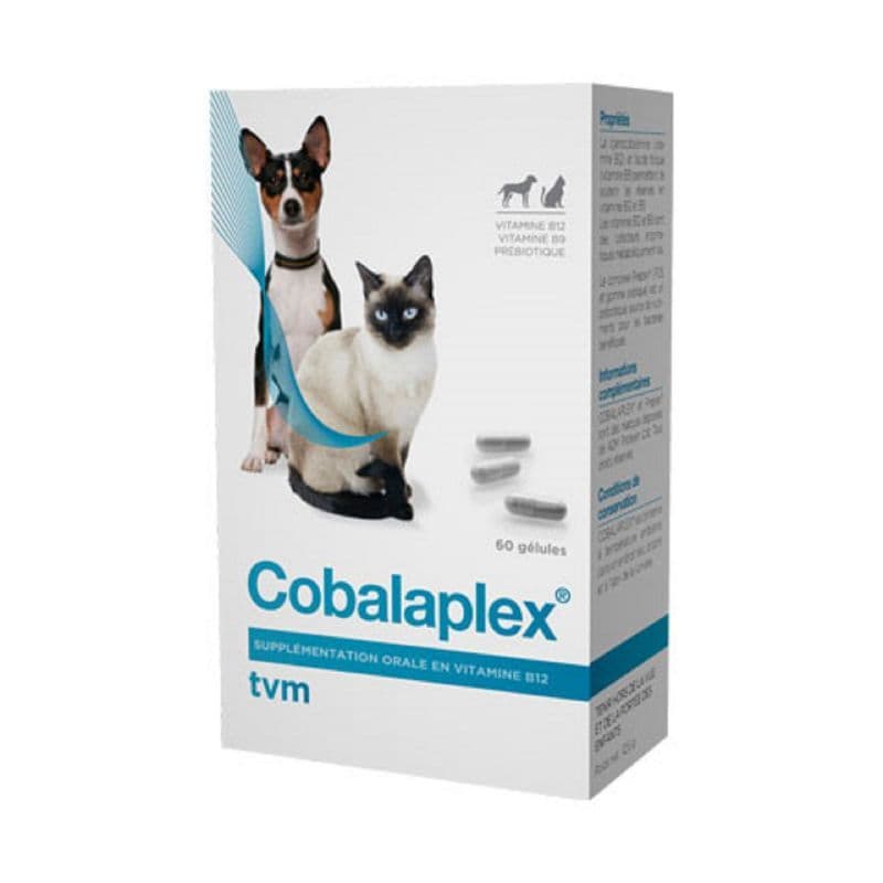COBALAPLEX CHIEN CHAT GELUL 60 — Nouvelle Pharmacie Serrier