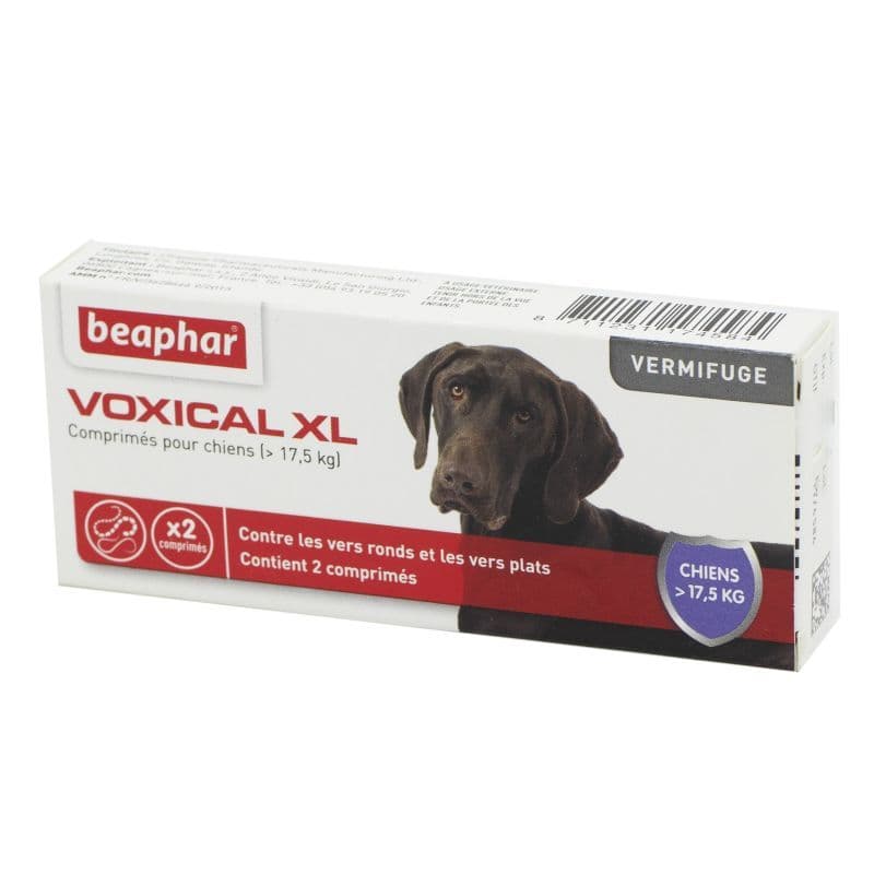 VOXICAL CHIEN XL CPR 2 — Pharmacie foch - Cenon