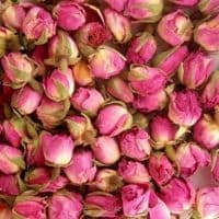 ADP CELO ROSE PALE MAROC BOUTON30G — Aprium Pharmacie des Colonnes - M'Sika