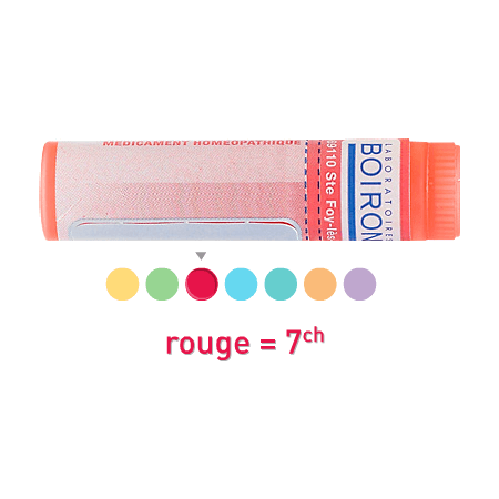 Boiron Pyrogenium 7ch Globules 1g