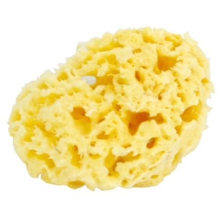 PETIPOUCE EPONGE NAT PETIPOUCE MM