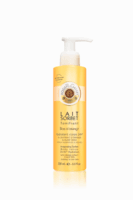 RG LAIT SORBET BOIS ORANGE 200ML