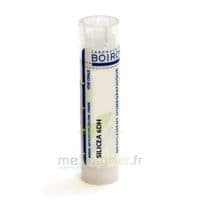 Boiron Silicea 6dh Granules 4g — Pharmacie De Mailloles