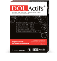 SYNACTIFS DOLACTIFS GELUL 15 — Pharmacie Comedie