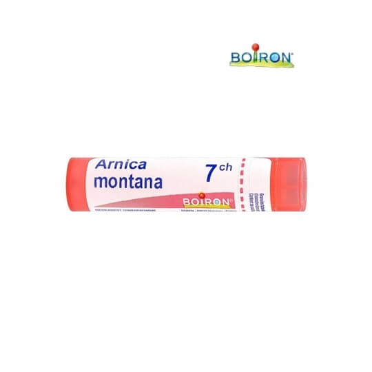 ARNICA MONTANA 7CH TG B — Pharmacie du Bien Etre