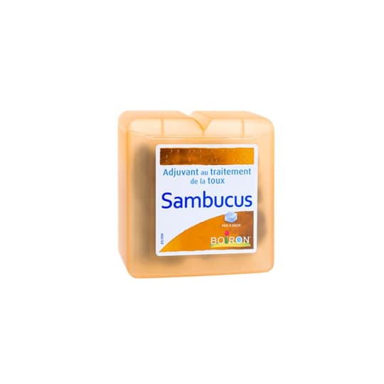 REGLISSE SAMBUCUS BOIRON PATE 70G — Pharmacie Pharmagreen Boucicaut