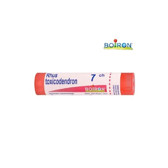 RHUS TOX. 7CH TG B — Pharmacie du Pilori