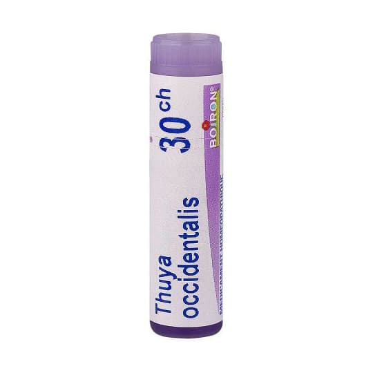 THUYA OCCIDENT. 30CH DO GL B — Pharmacie Rocade by Nexum