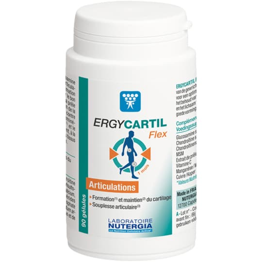 ERGYCARTIL FLEX GELUL 90 — Pharmacie des Vergnes Clermont-Ferrand