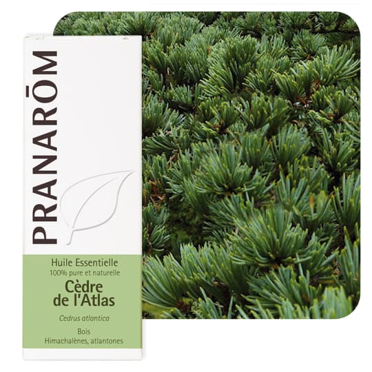 PRANAROM HE CEDRE ATLAS 10ML — Pharmacie du Grand Vitrolles