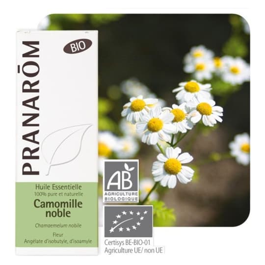 PRANAROM HE BIO CAMOMILLE NOB 5ML — Pharmacie Belgrand Tenon