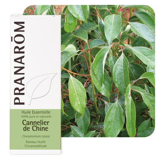 Pranarôm huile essentielle cannelier de chine - 10 ml — Pharmacie de Saint-Ouen - Saint-Ouen-de-Thouberville