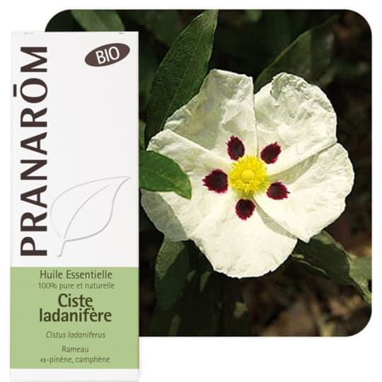 PRANAROM HE BIO CISTE LADANIF 5ML — Pharmacie Belgrand Tenon