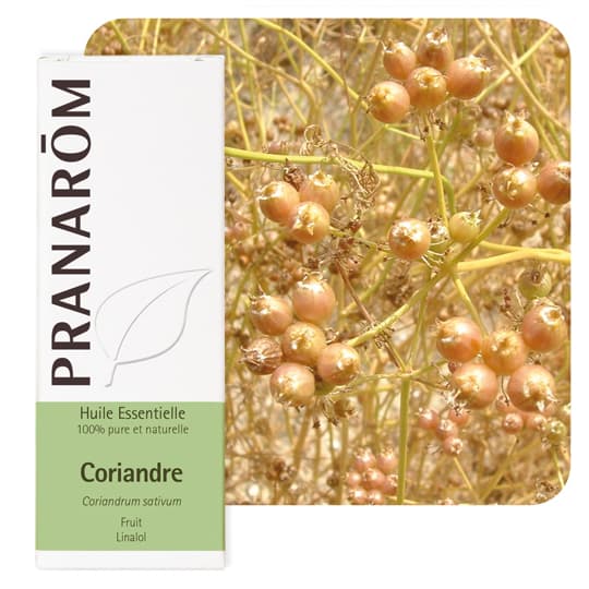 Pranarôm huile essentielle coriandre - 10 ml — Pharmacie Pharmagreen Boucicaut
