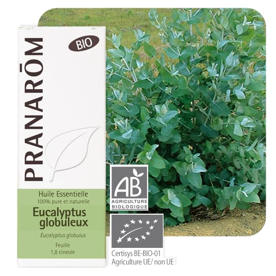 PRANAROM HE BIO EUCALYPT GLOB 10ML — Pharmacie Belgrand Tenon
