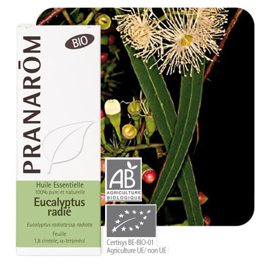 PRANAROM HE BIO EUCALYP RADIE 10ML — Pharmacie Belgrand Tenon