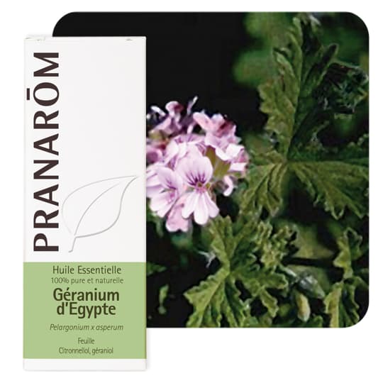 Pranarôm huile essentielle géranium d'egypte - 10 ml — Pharmacie Pharmagreen Boucicaut