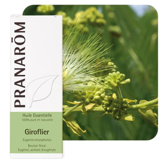 Pranarôm huile essentielle giroflier - 10 ml — Pharmacie Apothical Carré Sénart