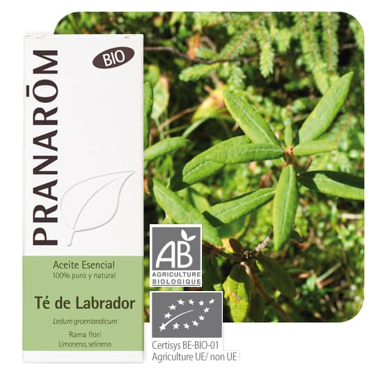 PRANAROM HE BIO LEDON GROENLAND5ML — Grande Pharmacie de la Station - Apothical