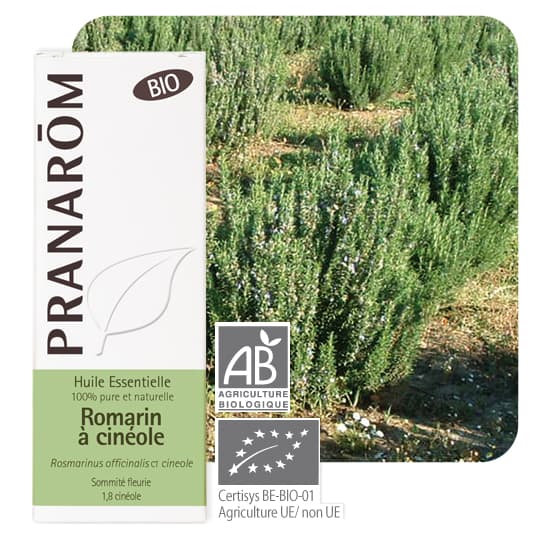 Pranarom hect bio romarin a cineole 10ml — Pharmacie de Paris - Porte de Champerret