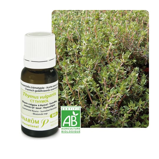 PRANAROM HE BIO THYM VULG THYM 5ML — Pharmacie Pharmagreen Boucicaut
