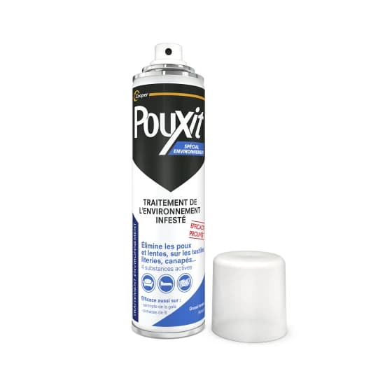 POUXIT AEROSOL ENVIRONNEMENT 250ML
