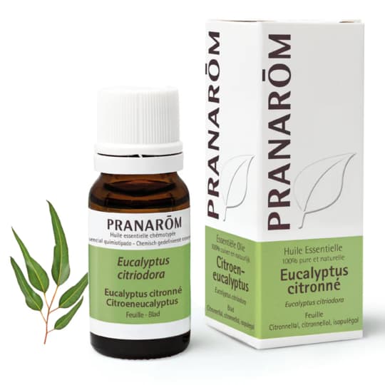 Pranarôm huile essentielle eucalyptus citronné - 10 ml — Grande Pharmacie Lazare Carnot 7j/7