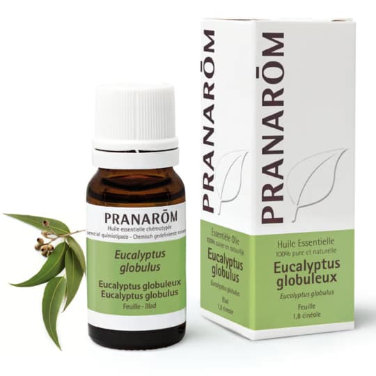Pranarom hect eucalyptus globuleux feuille, 10 ml d'huile essentielle — Pharmacie Centrale Gallieni