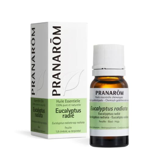 Pranarôm huile essentielle eucalyptus radié - 10 ml — Grande Pharmacie Lazare Carnot 7j/7